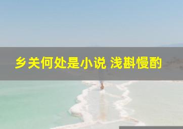 乡关何处是小说 浅斟慢酌